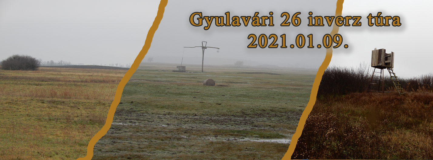 Gyulavári 26 inverz túra